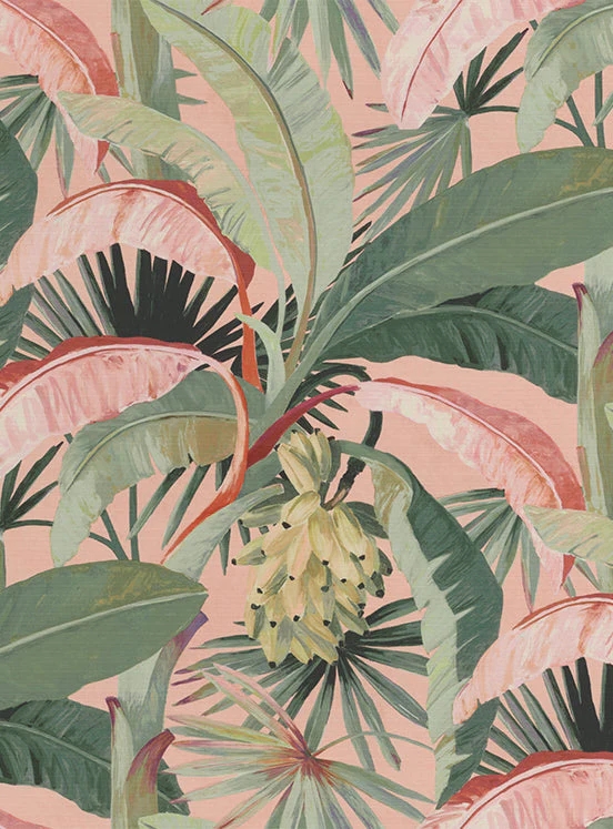 Coral - Mokum Tropicalia